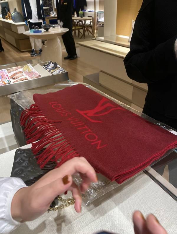 Louis Vuitton Scarf LVC00504